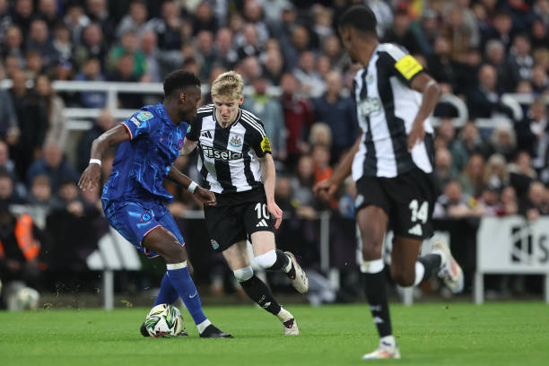 掘金主帅迈 掘金主帅迈